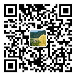 彩神8官网app